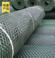 塑料土工网