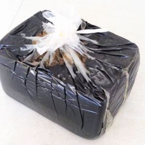 灌缝胶