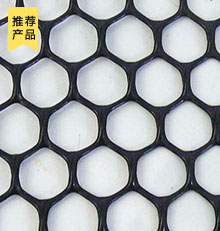 塑料土工网