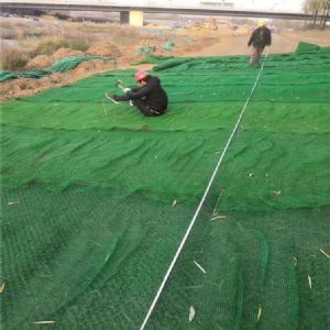 三维土工网垫（三维植被网）植草、灌护坡施工方案
