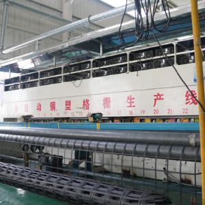 钢塑复合土工格栅生产线